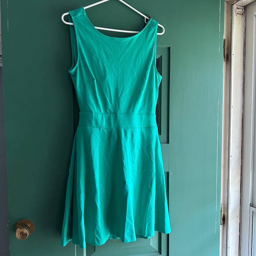 NWT skater dress